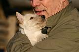 ADULTE ET CHIEN 371